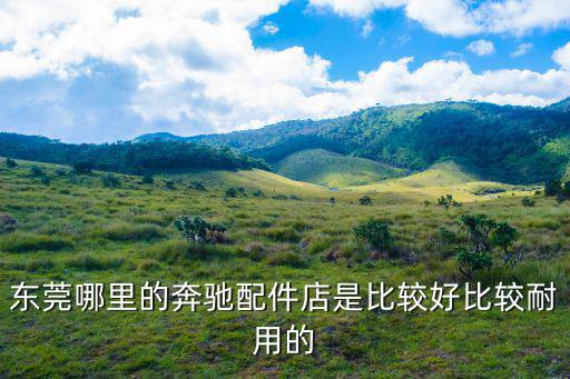 東莞哪里的奔馳配件店是比較好比較耐用的