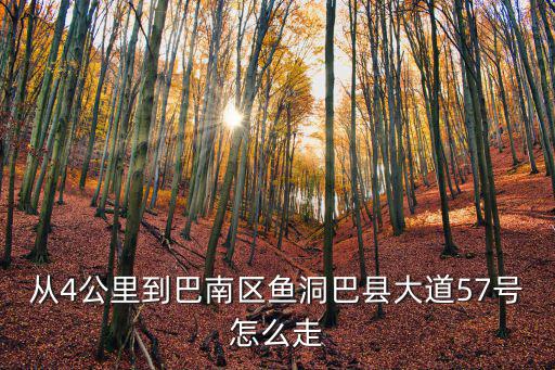 從4公里到巴南區(qū)魚洞巴縣大道57號(hào)怎么走