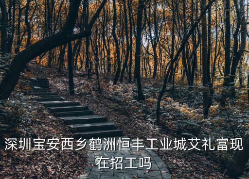 深圳點(diǎn)石亞洲招聘啟示，深圳哪個(gè)招聘網(wǎng)好