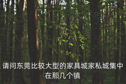 廣州東莞羽豐家具，在廣州東莞租一室一廳一廚房的房子一月大概多少錢