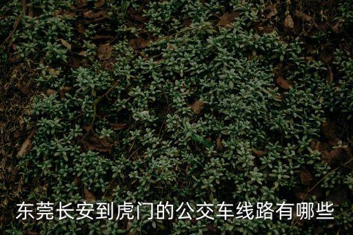 東莞長安到虎門的公交車線路有哪些