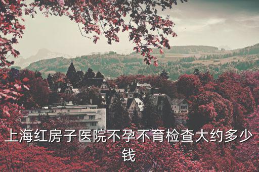 上海紅房子醫院不孕不育檢查大約多少錢