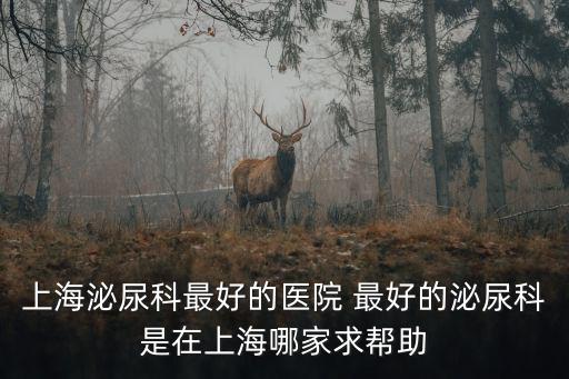 上海市第五人民醫(yī)院泌尿外科，上海泌尿科最好的醫(yī)院 最好的泌尿科是在上海哪家求幫助