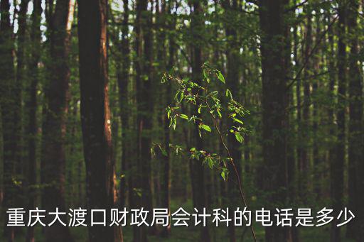 重慶市大渡口區(qū)國稅電話，重慶釣魚嘴房管局在哪里