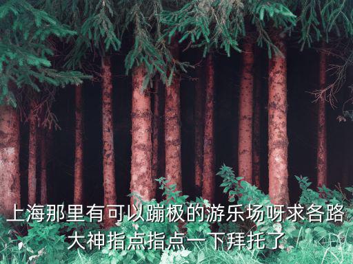 上海那里有可以蹦極的游樂場呀求各路大神指點指點一下拜托了