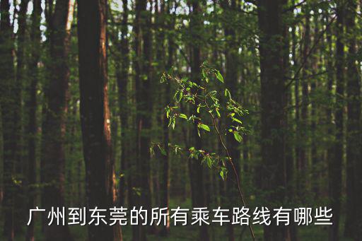 廣州到東莞的所有乘車路線有哪些