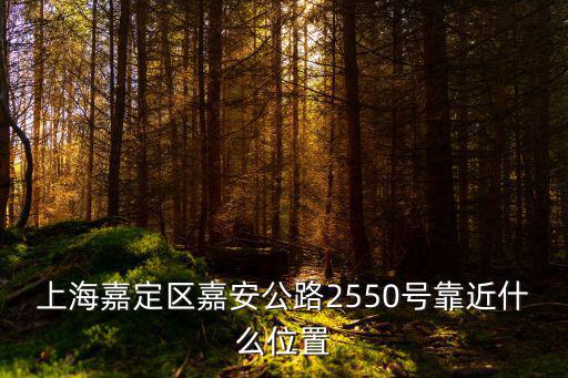 上海嘉定區嘉安公路2550號靠近什么位置