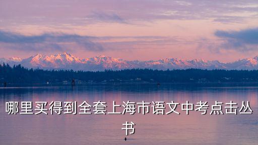 哪里買得到全套上海市語文中考點擊叢書