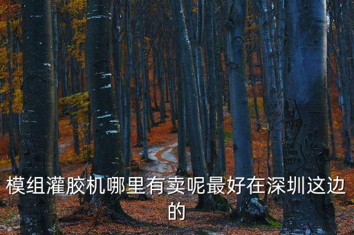 模組灌膠機哪里有賣呢最好在深圳這邊的