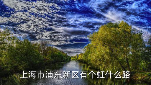 上海市電虹路，急求上海市電力公司地址郵編