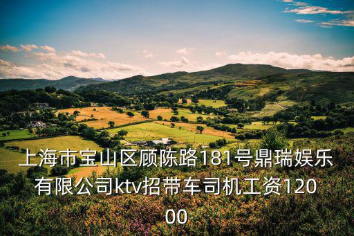 上海市寶山區司機，上海市寶山區顧陳路181號鼎瑞娛樂有限公司ktv招帶車司機工資12000