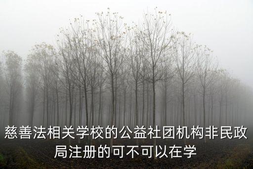 慈善法相關學校的公益社團機構非民政局注冊的可不可以在學