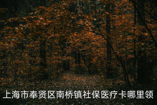上海市奉賢區(qū)南橋鎮(zhèn)社保醫(yī)療卡哪里領