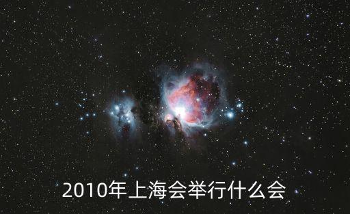 2010年上海會舉行什么會