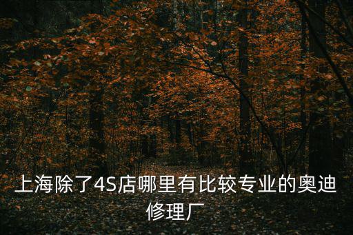 上海除了4S店哪里有比較專業(yè)的奧迪修理廠