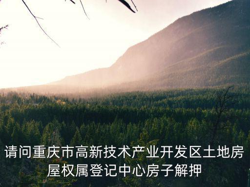 重慶市產業禁投，重慶市國有八大產業集團是哪八大