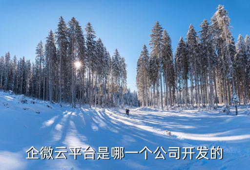 企微云平臺是哪一個公司開發的