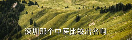 深圳那個中醫比較出名啊