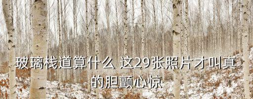 玻璃棧道算什么 這29張照片才叫真的膽顫心驚
