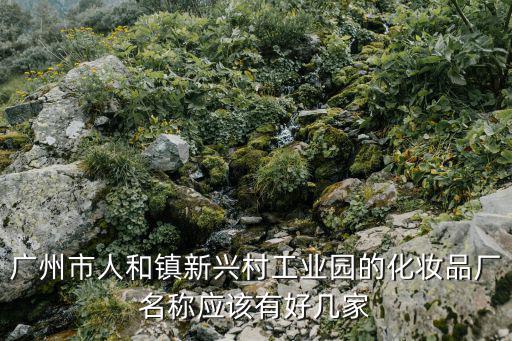 廣州市人和鎮(zhèn)新興村工業(yè)園的化妝品廠名稱應(yīng)該有好幾家