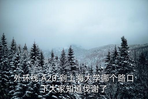 上海市a20外環線，外環線 A20 到上海大學哪個路口下大家知道伐謝了