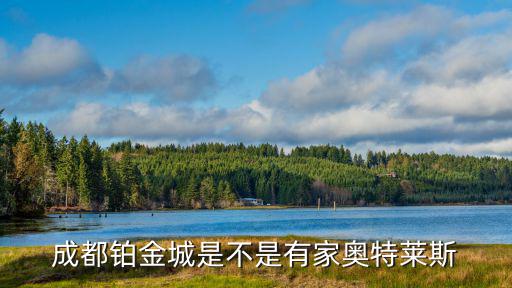 成都鉑金城是不是有家奧特萊斯