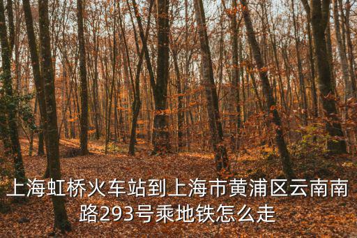 上海虹橋火車站到上海市黃浦區云南南路293號乘地鐵怎么走