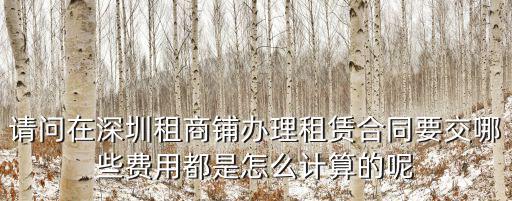 請問在深圳租商鋪辦理租賃合同要交哪些費用都是怎么計算的呢