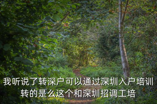 我聽說了轉深戶可以通過深圳入戶培訓轉的是么這個和深圳招調工培