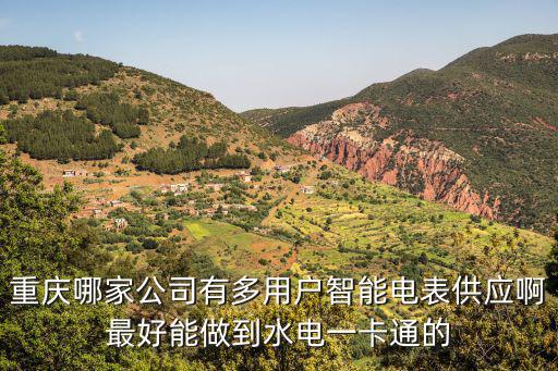 重慶市建華水電公司，重慶南坪四公里水電汽交費地點