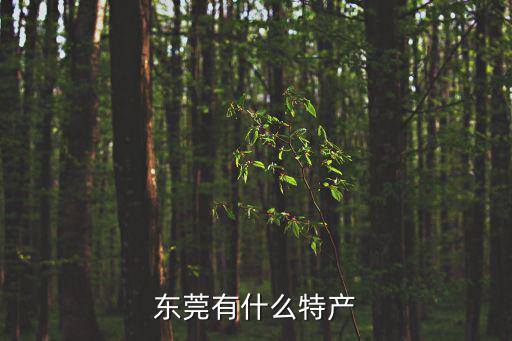 東莞有什么特產