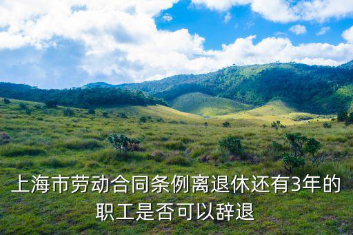 上海市勞動合同條例，上海市勞動合同法