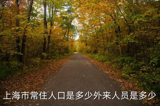 上海市新虹人口，上海人口