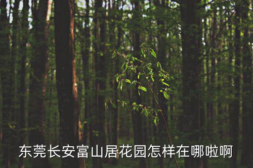 東莞長安富山居花園怎樣在哪啦啊
