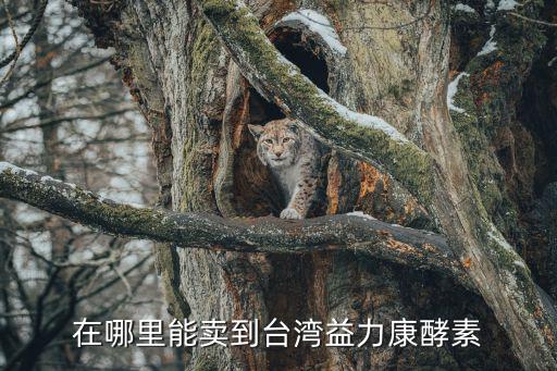 在哪里能賣到臺灣益力康酵素