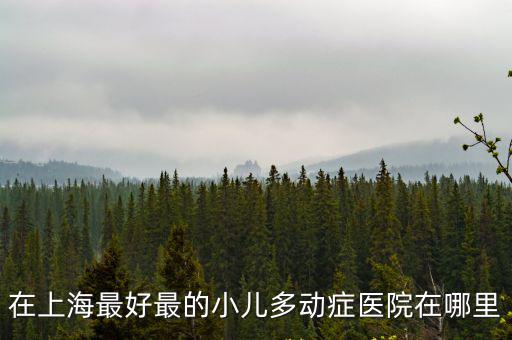 在上海最好最的小兒多動癥醫院在哪里