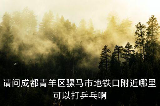 成都市哪里可以打槍，請(qǐng)問成都青羊區(qū)騾馬市地鐵口附近哪里可以打乒乓啊
