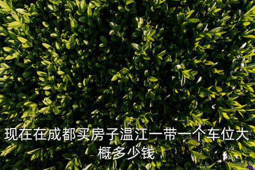 現(xiàn)在在成都買房子溫江一帶一個車位大概多少錢