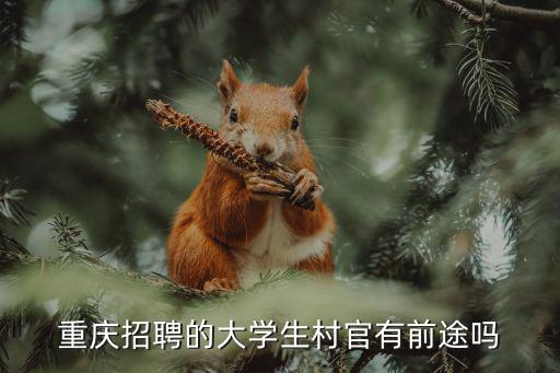 重慶招聘的大學生村官有前途嗎
