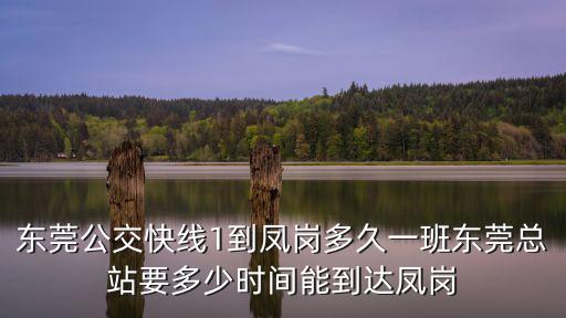 東莞公交快線1到鳳崗多久一班東莞總站要多少時間能到達鳳崗