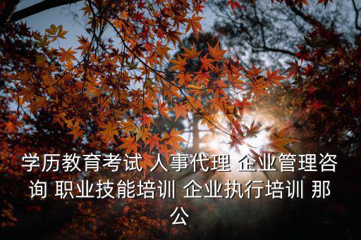 學(xué)歷教育考試 人事代理 企業(yè)管理咨詢 職業(yè)技能培訓(xùn) 企業(yè)執(zhí)行培訓(xùn) 那公