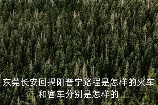 東莞長安回揭陽普寧路程是怎樣的火車和客車分別是怎樣的