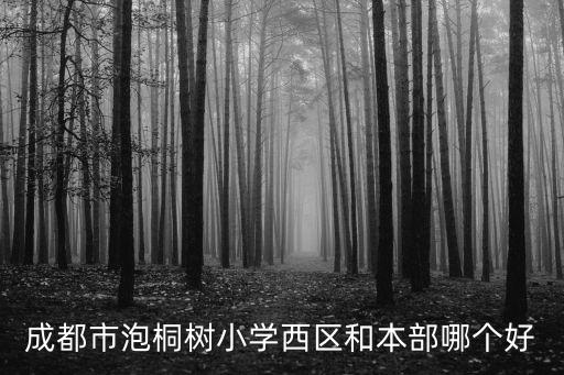 成都市泡桐樹小學，成都市泡桐樹小學西區和本部哪個好