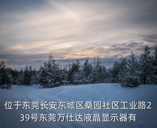 位于東莞長安東城區(qū)桑園社區(qū)工業(yè)路239號(hào)東莞萬仕達(dá)液晶顯示器有