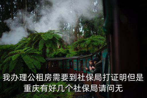 我辦理公租房需要到社保局打證明但是重慶有好幾個(gè)社保局請問無