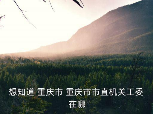 想知道 重慶市 重慶市市直機關工委 在哪