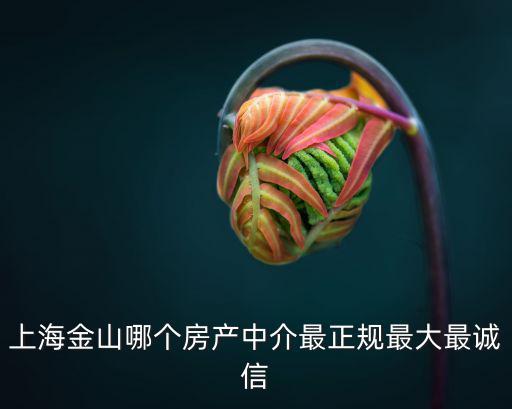 上海金山哪個(gè)房產(chǎn)中介最正規(guī)最大最誠(chéng)信
