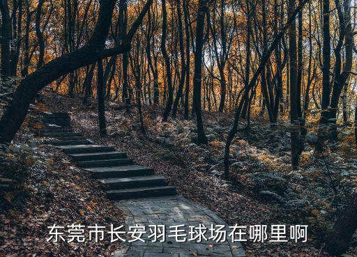 東莞長安萬科廣場在哪個位置，東莞長安在哪