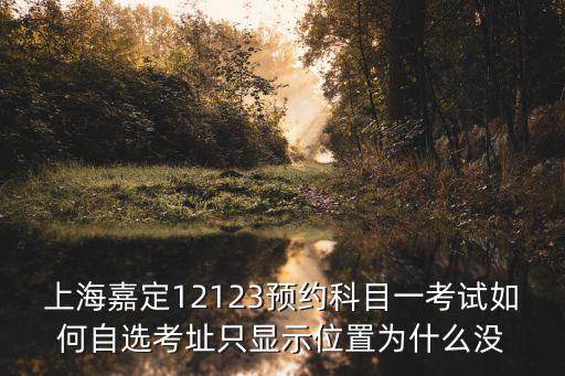上海嘉定12123預約科目一考試如何自選考址只顯示位置為什么沒