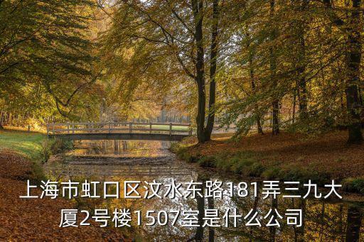 上海市虹口區汶水東路181弄三九大廈2號樓1507室是什么公司